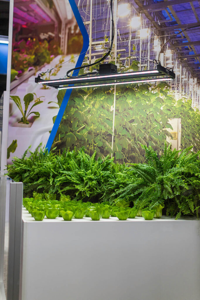 2-Channel Horticulture Fixture Demonstration